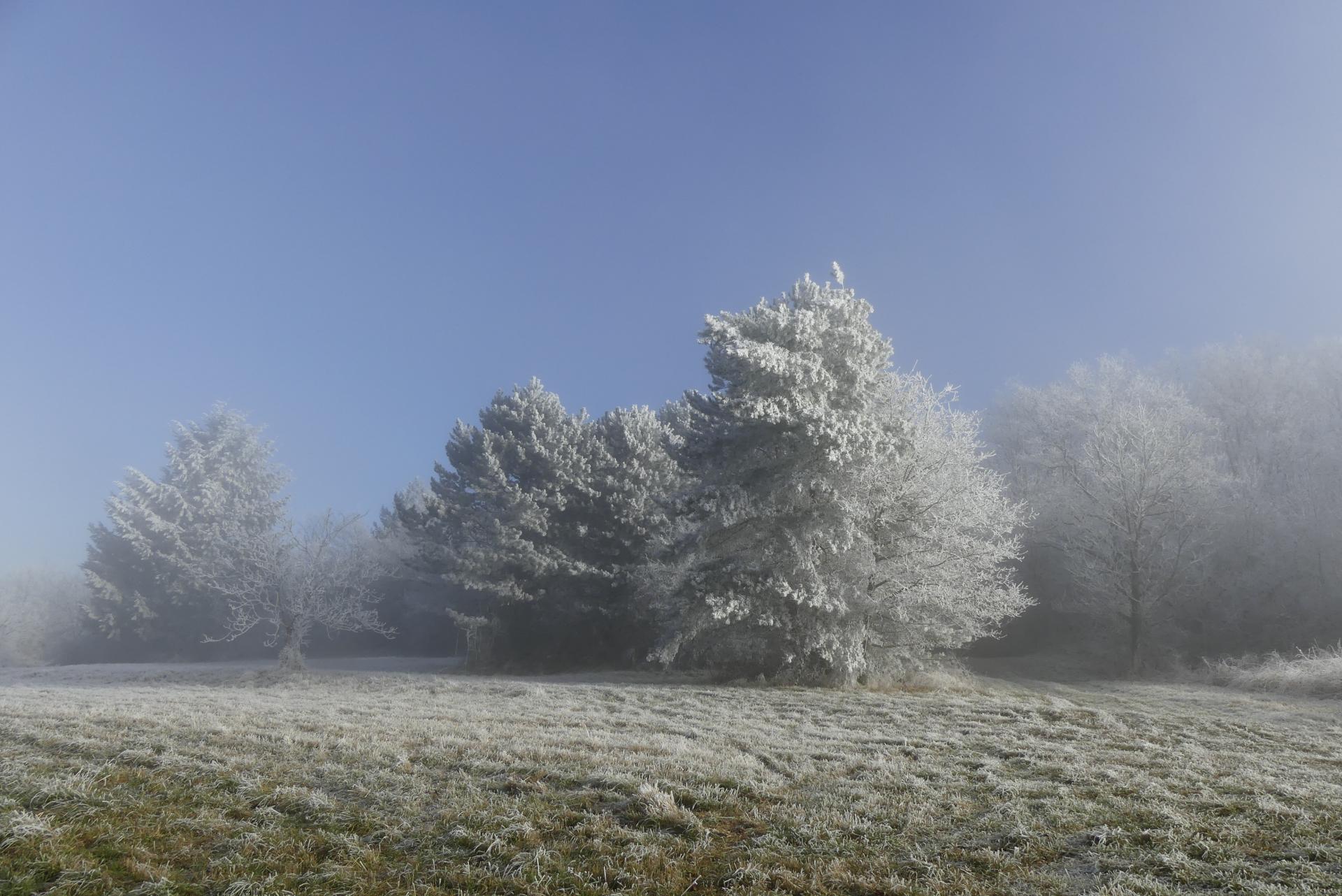 Le givre fige la nature